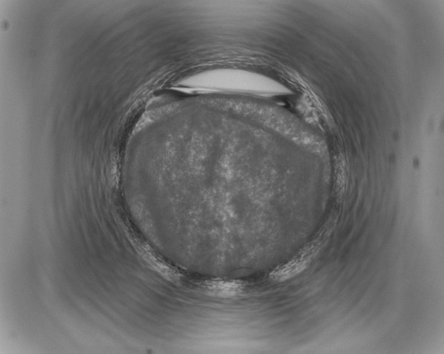 X0000085770313200704131810