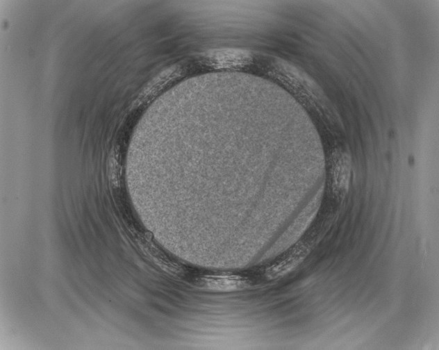 X0000085770316200704131810