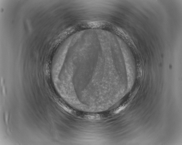 X0000085770317200704131810