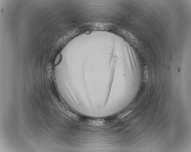 X0000085770318200704131810