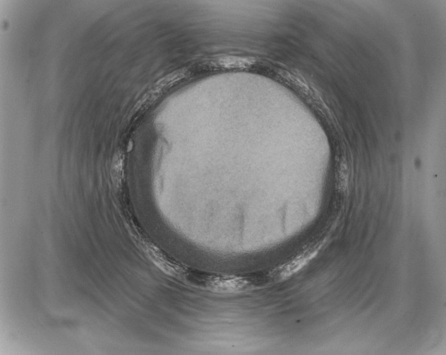 X0000085770321200704131810