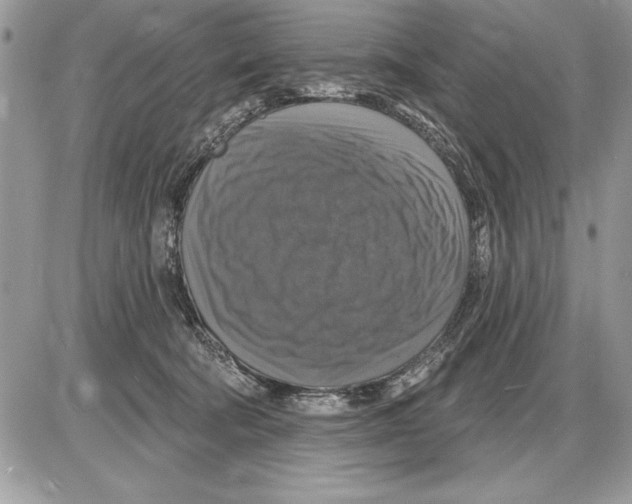 X0000085770322200704131810