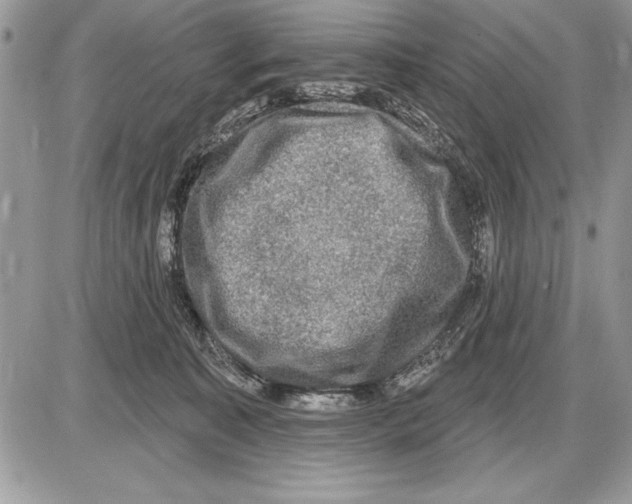 X0000085770323200704131810