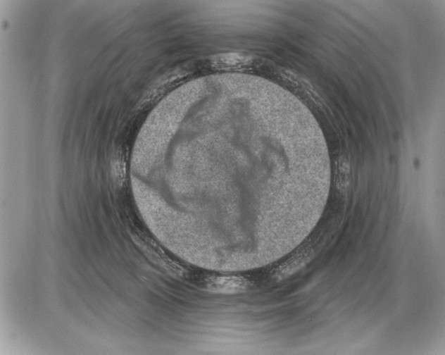 X0000085770324200704131810