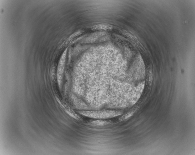 X0000085770326200704131810