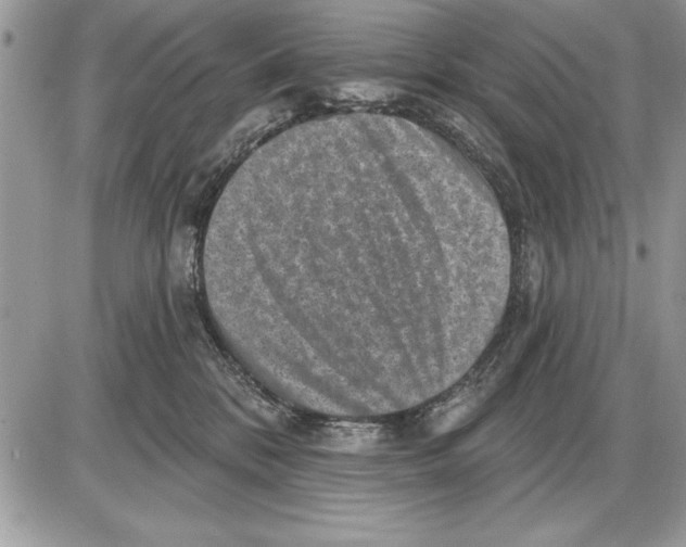 X0000085770328200704131810