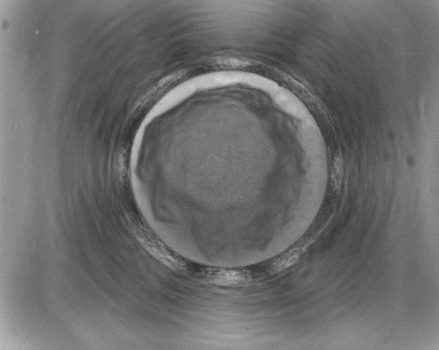 X0000085770330200704131810