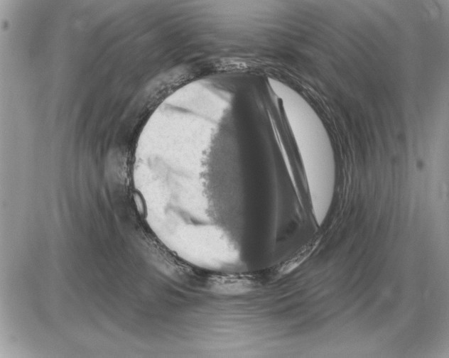 X0000085770331200704131810