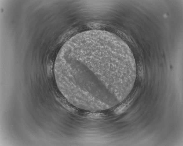 X0000085770332200704131810