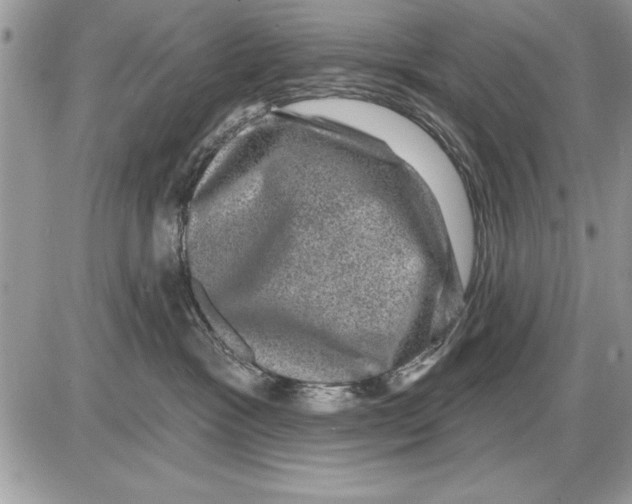 X0000085770333200704131810