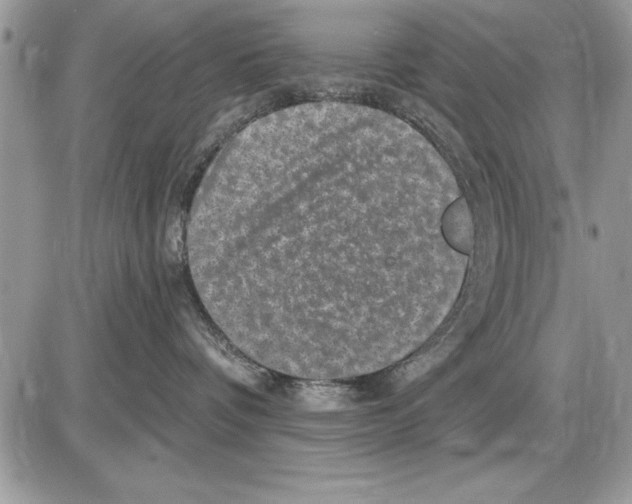 X0000085770336200704131810