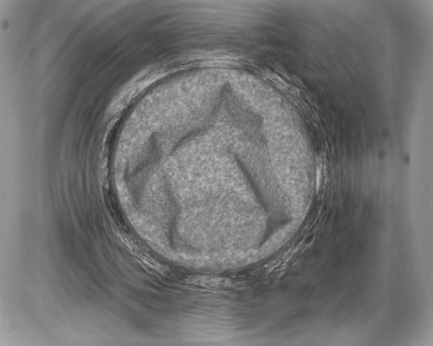 X0000085770339200704131809