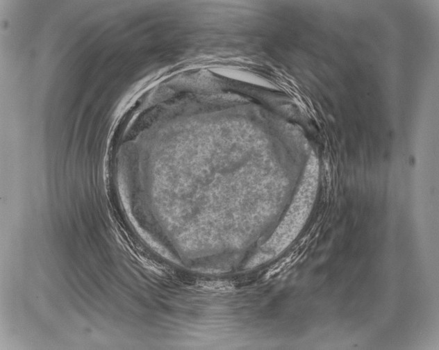 X0000085770340200704131809