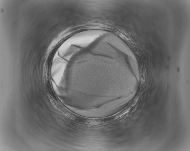 X0000085770343200704131809