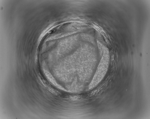 X0000085770344200704131809