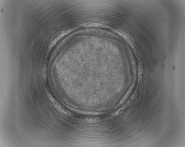 X0000085770345200704131809