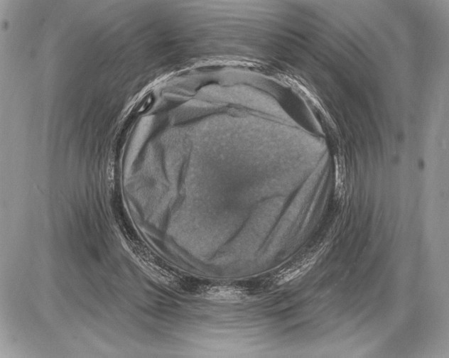 X0000085770348200704131809