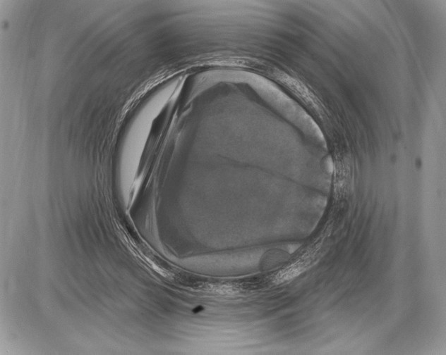 X0000085770349200704131809