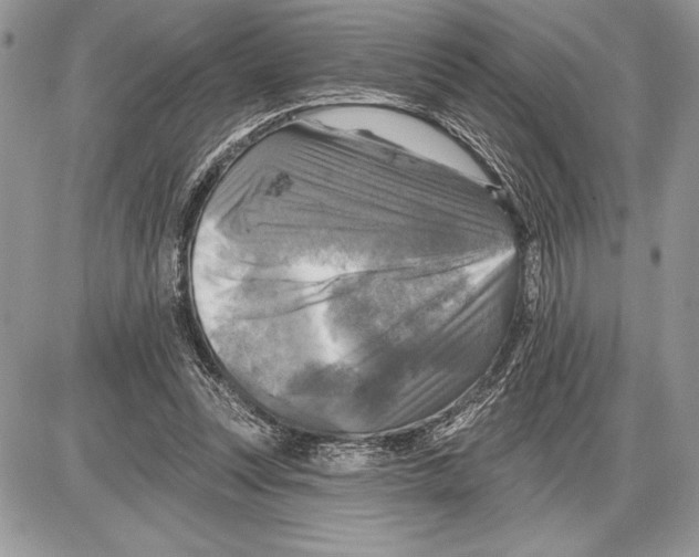 X0000085770351200704131809