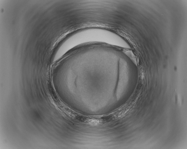 X0000085770352200704131809