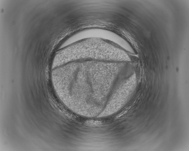 X0000085770354200704131809