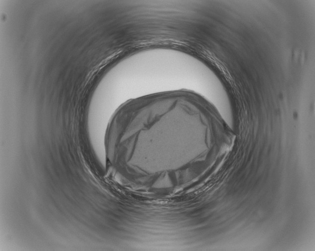 X0000085770356200704131809