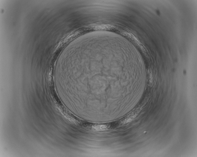 X0000085770357200704131809