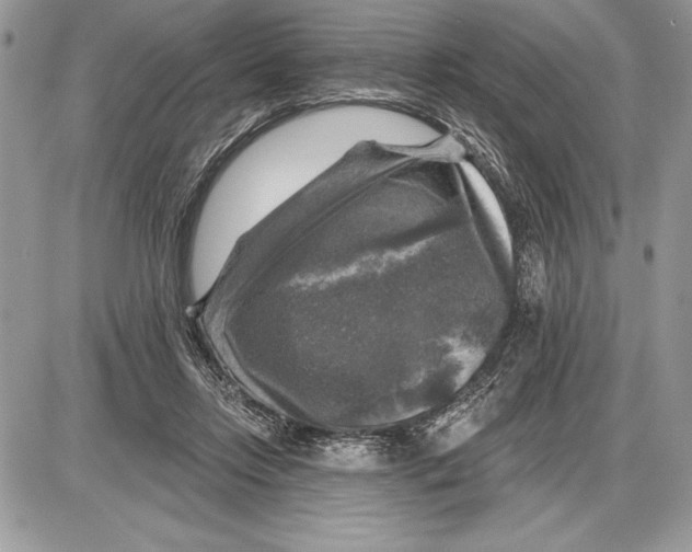 X0000085770358200704131809