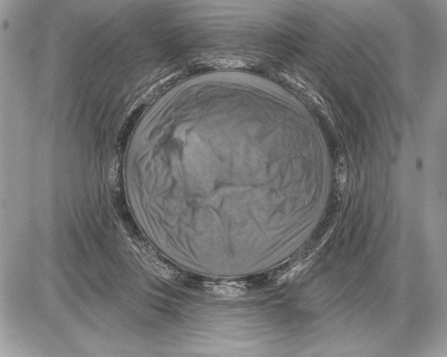 X0000085770359200704131809