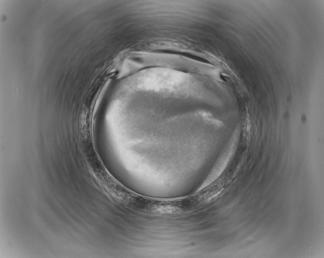 X0000085770360200704131809