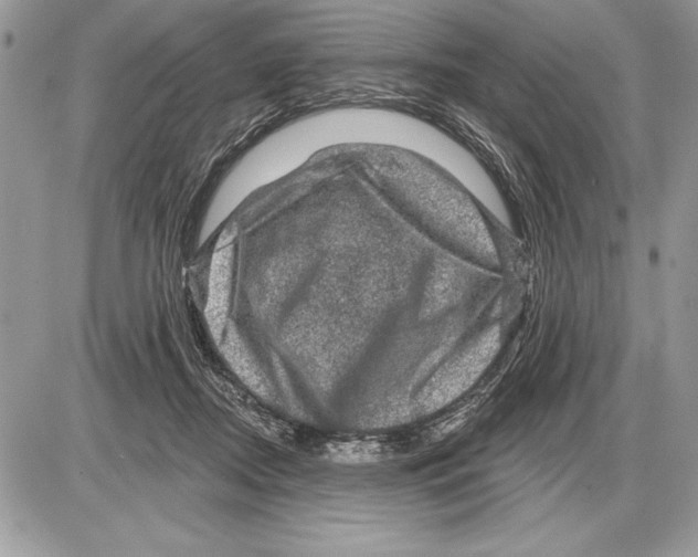 X0000085770362200704131809