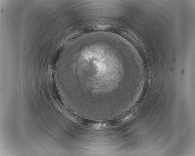 X0000085770366200704131809