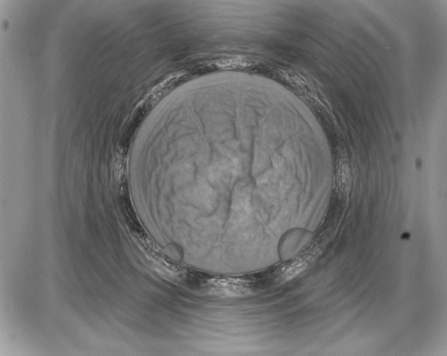 X0000085770367200704131809