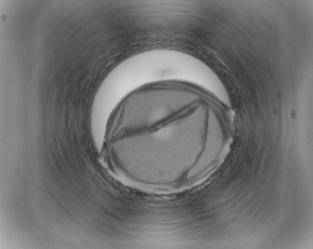 X0000085770368200704131809