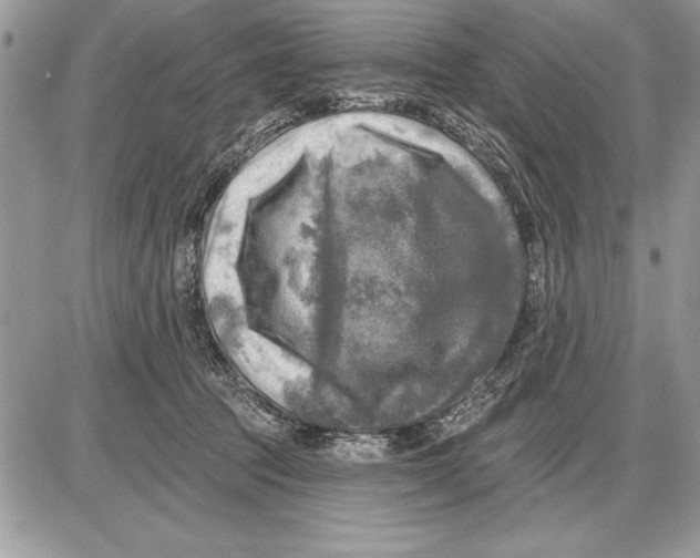 X0000085770369200704131809