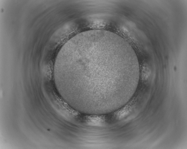 X0000085770370200704131809