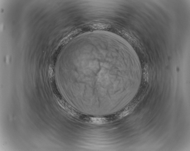 X0000085770371200704131809