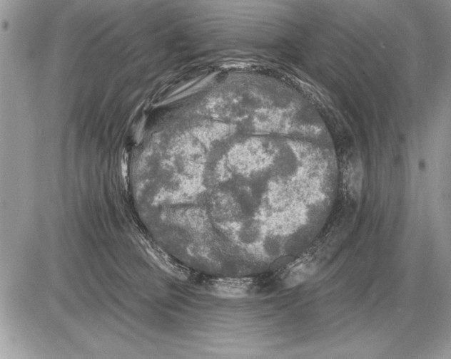 X0000085770373200704131809