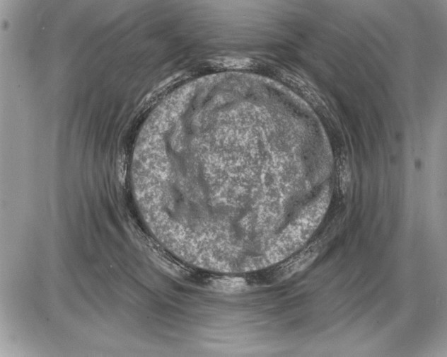 X0000085770374200704131809