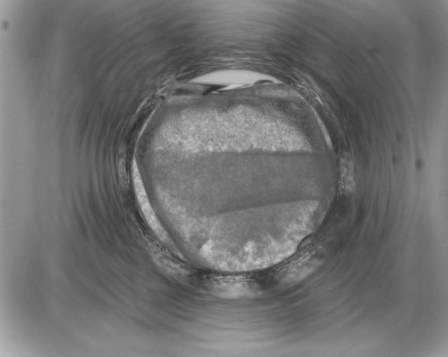 X0000085770377200704131809