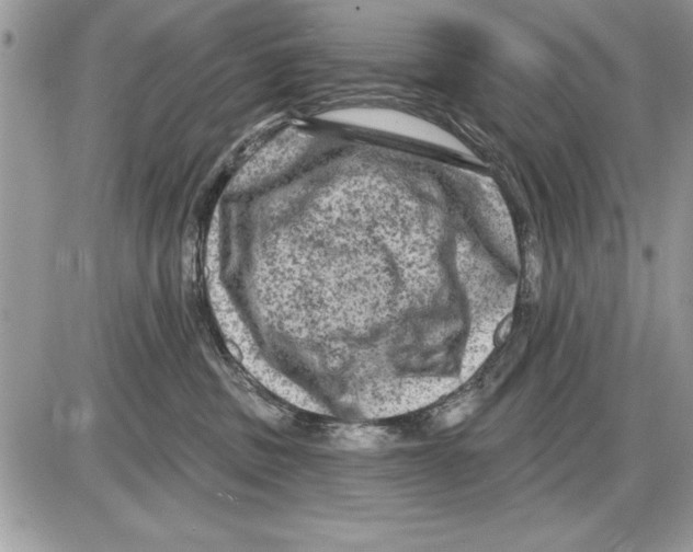 X0000085770379200704131809