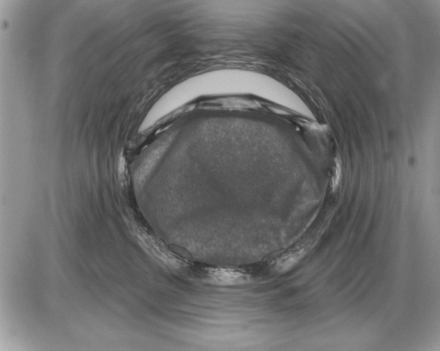 X0000085770380200704131810