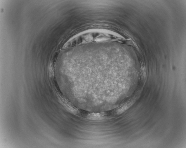 X0000085770381200704131810