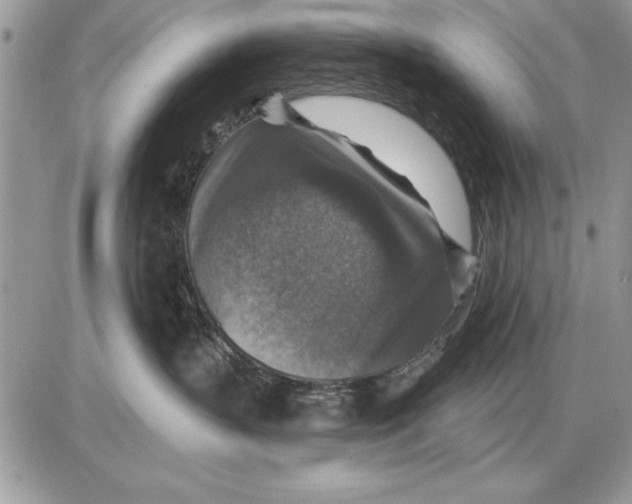 X0000085770383200704131810