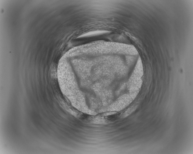 X0000085770384200704131810