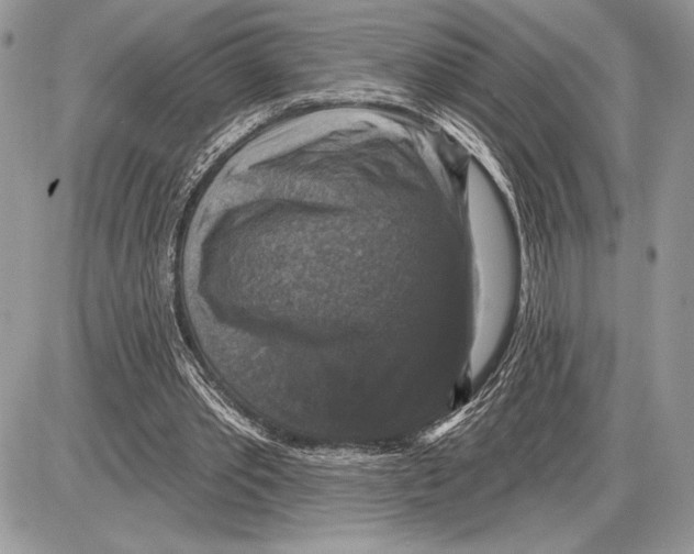 X0000085770389200704131809