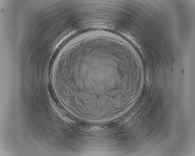 X0000085770390200704131809