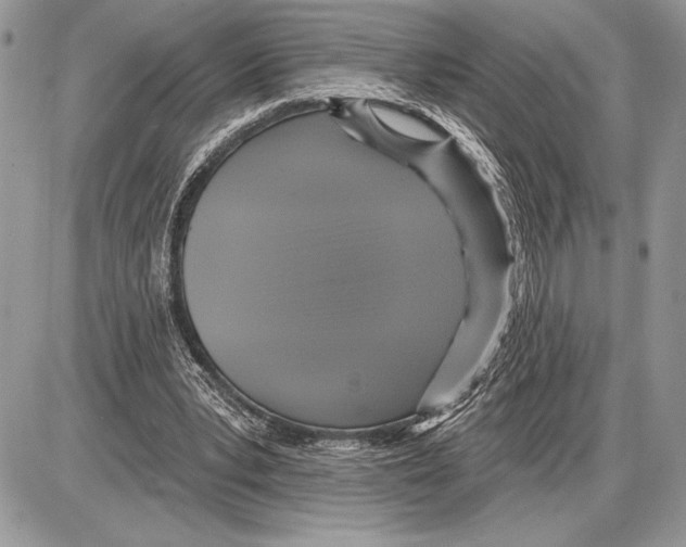 X0000085770391200704131809