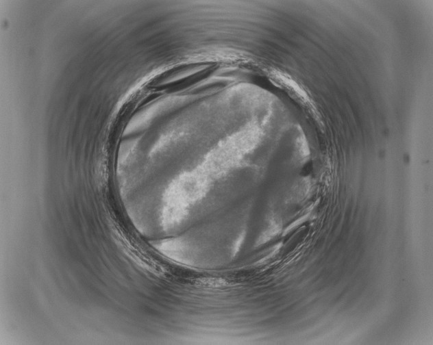 X0000085770392200704131809