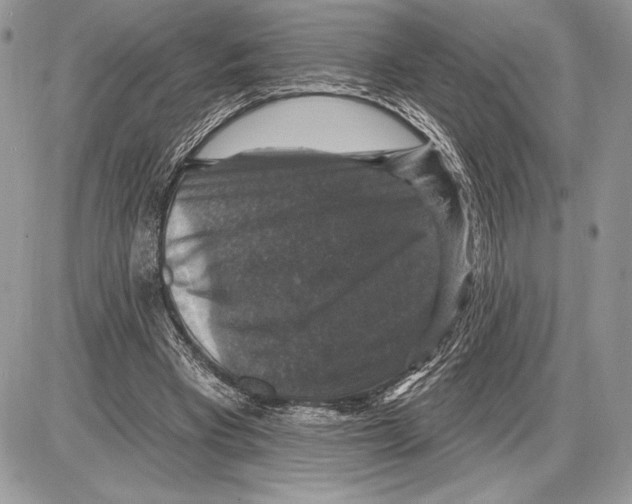 X0000085770393200704131809